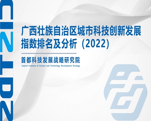 艹我骚逼电影【成果发布】广西壮族自治区城市科技创新发展指数排名及分析（2022）